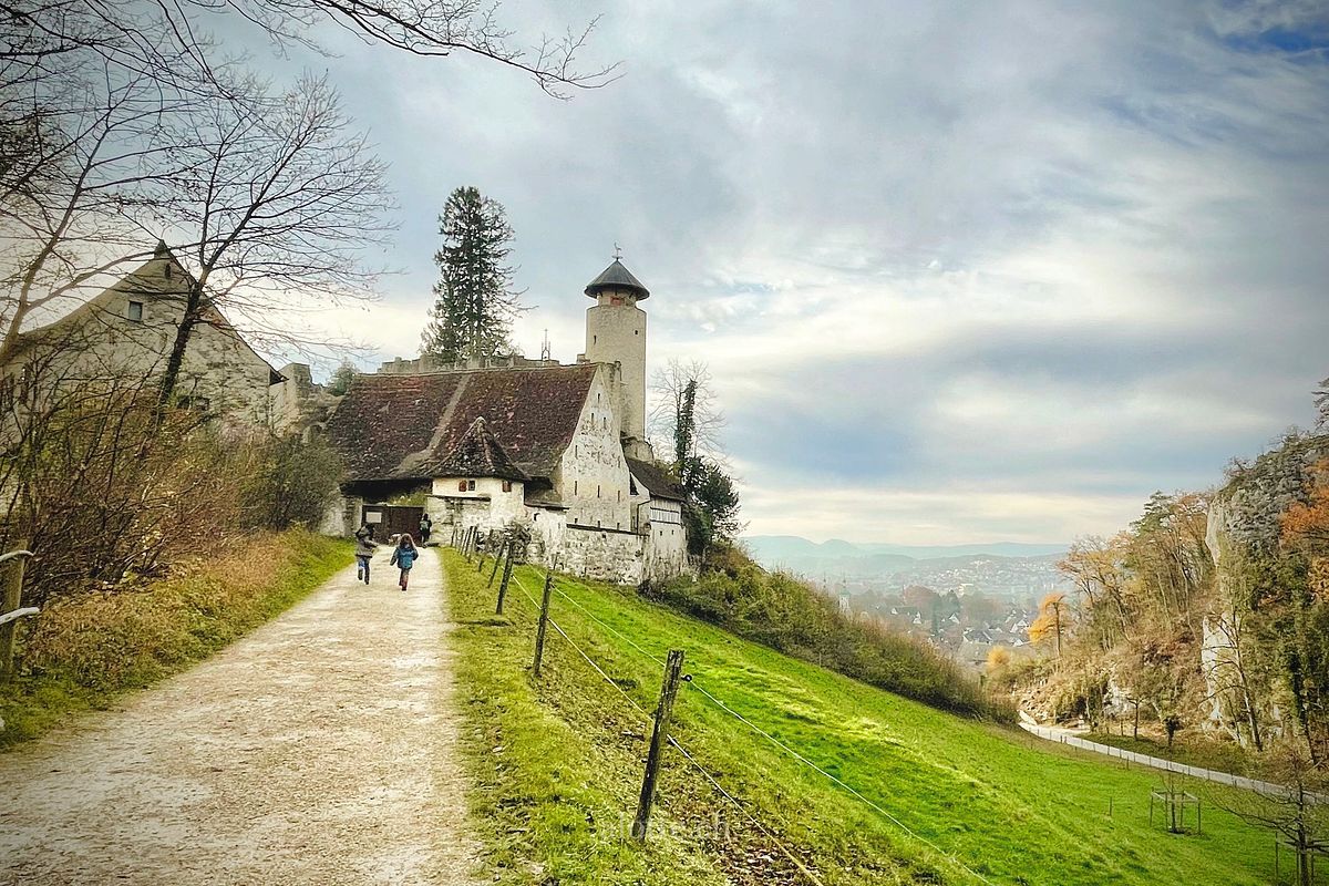 Arlesheim castle in Basel Land - image taken by Martin Potter