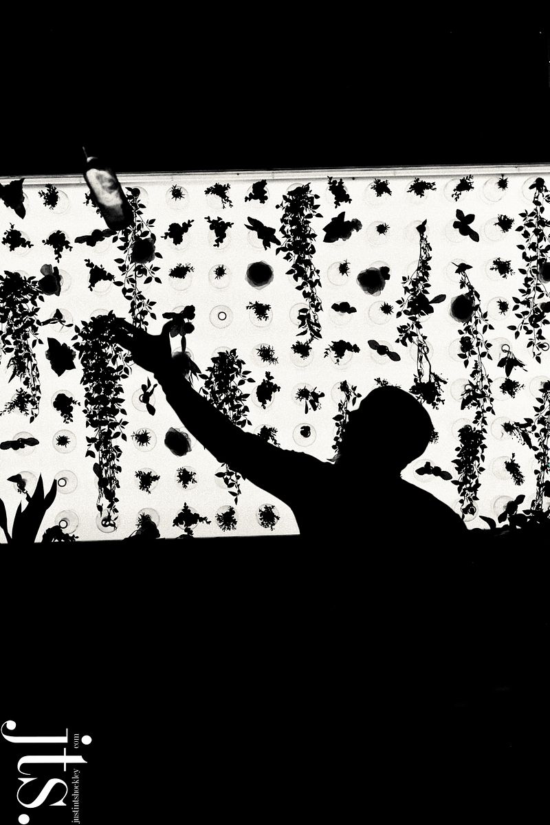 Website Update Consultation