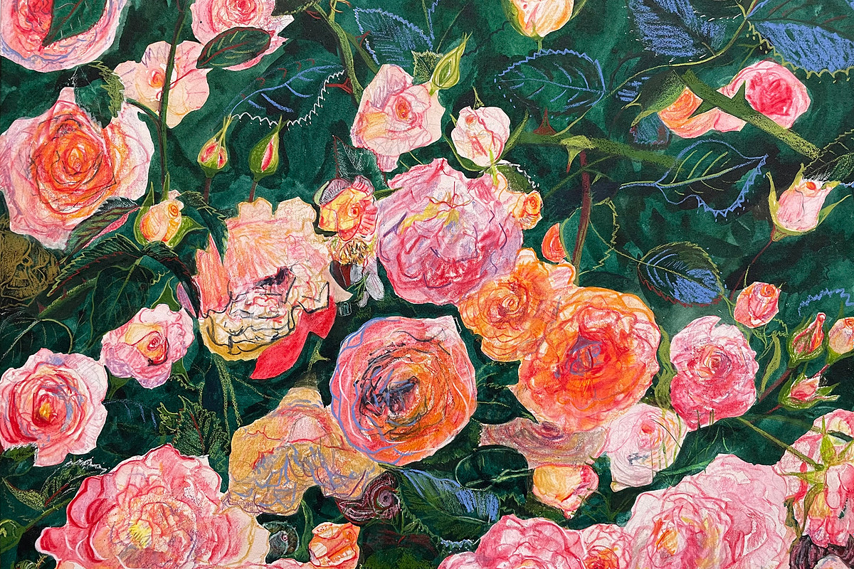 painting of a pink rose bush in bloom