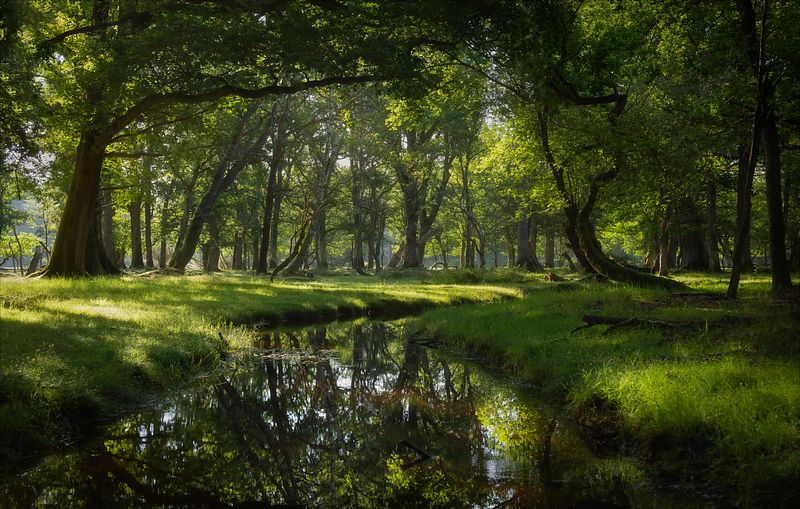 Gallery1. Simplicity~illumination