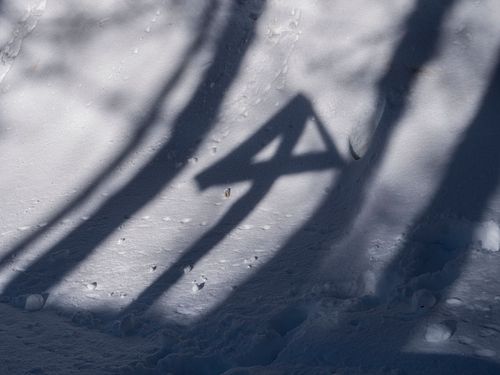 Kreuzschatten im Schnee