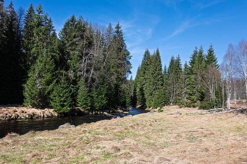 Rivière sinueuse bordée d’arbres.