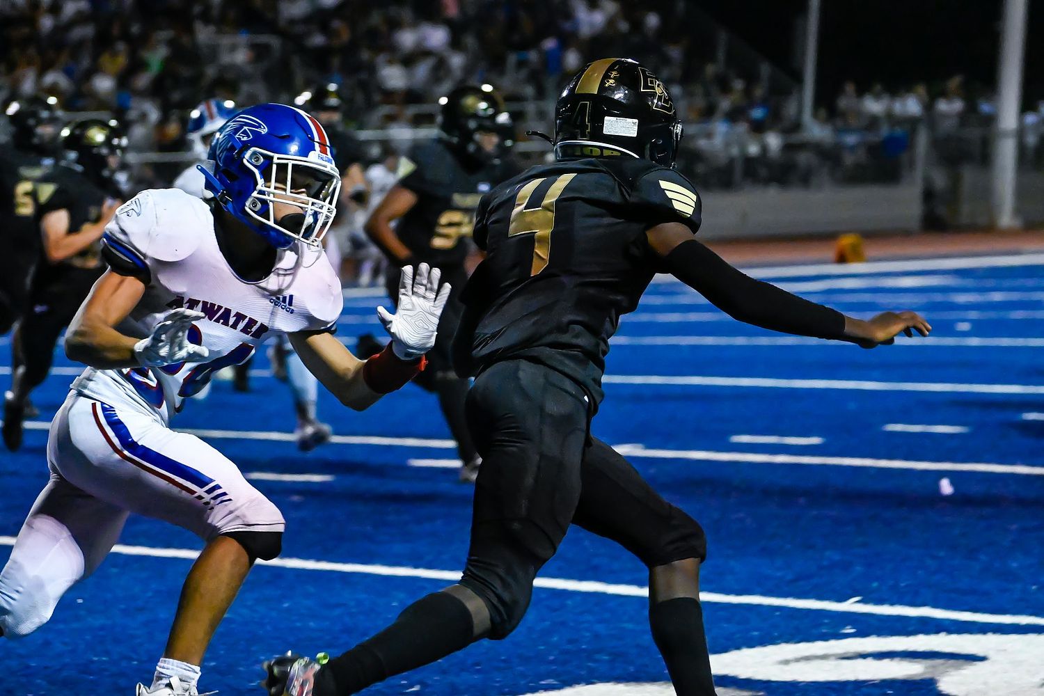 Mark Ingraham's Action & Nature Photos