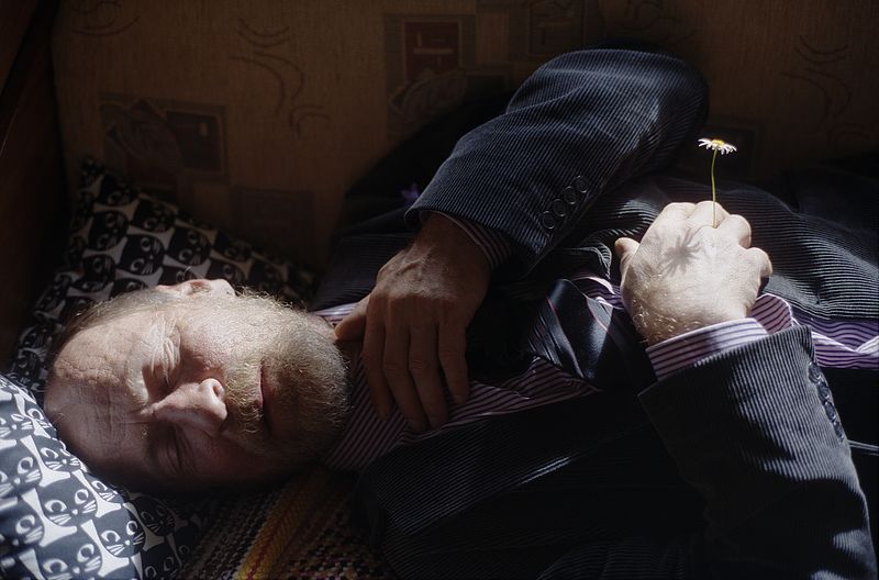 All My Father's Meadows