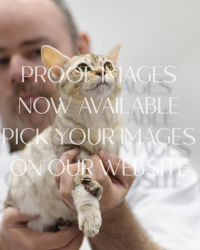 Livingston Cat Show