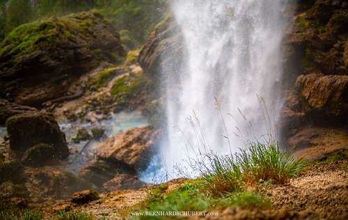 Vegetation and waterfall