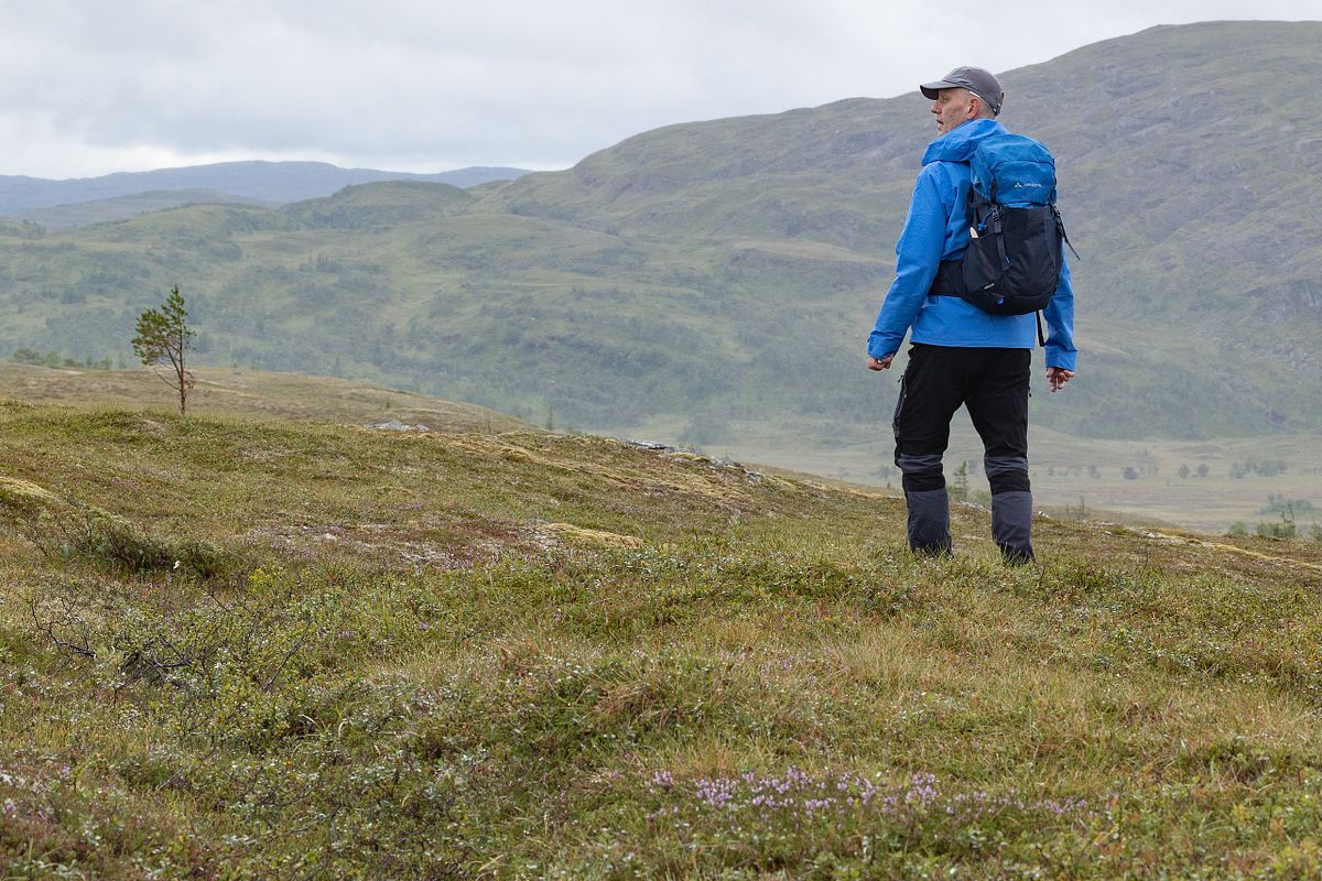 Man i bl&aring; skaljacka blickar ut &ouml;ver fj&auml;llandskap