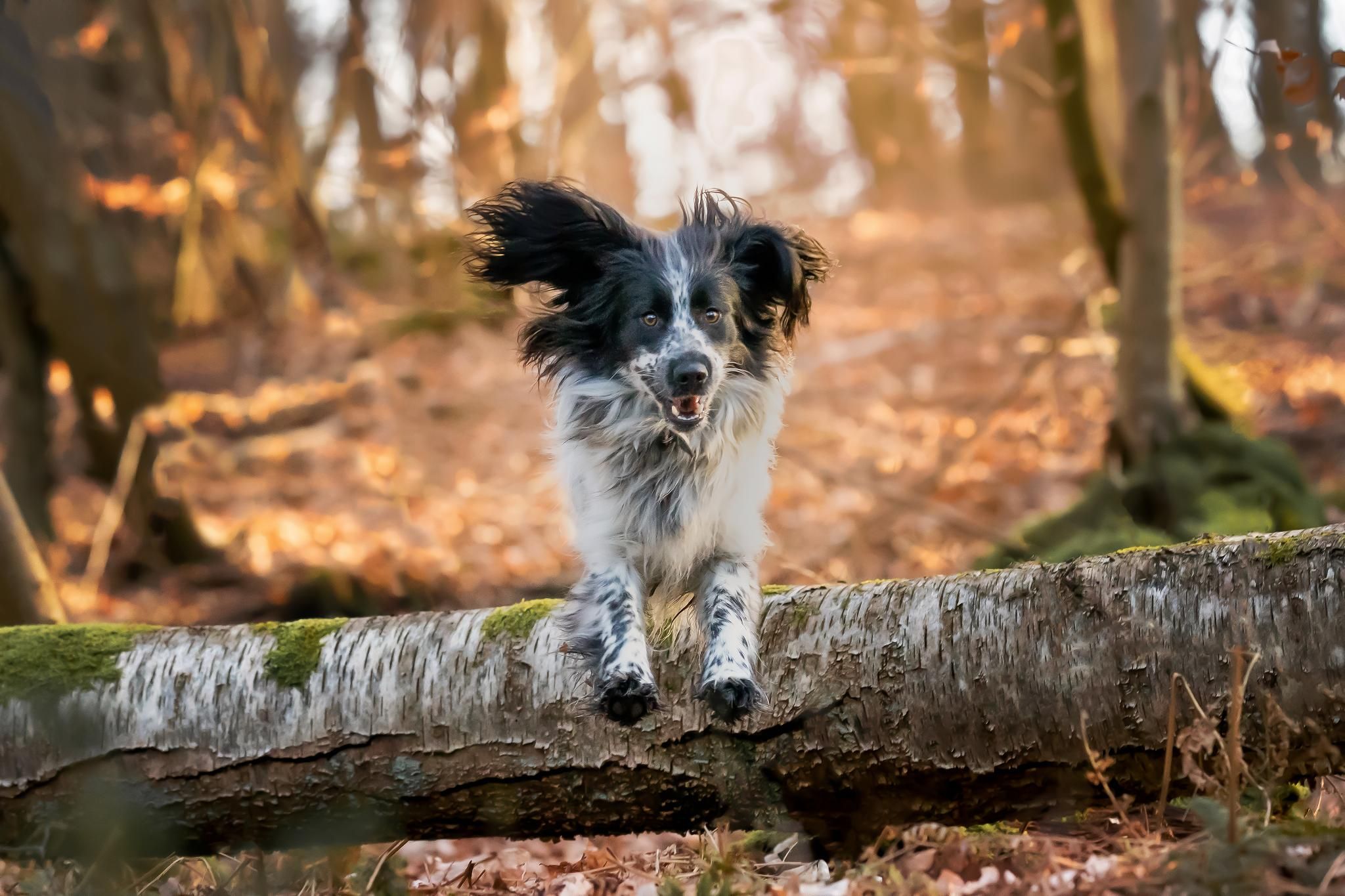 Lumi Foto