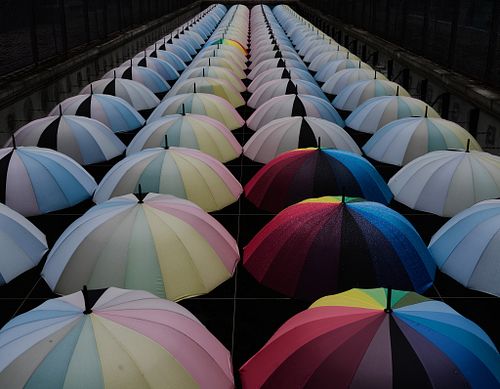 Umbrellas And Rain ... KL
