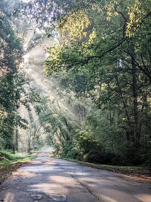 Are you seeking spiritual companionship?