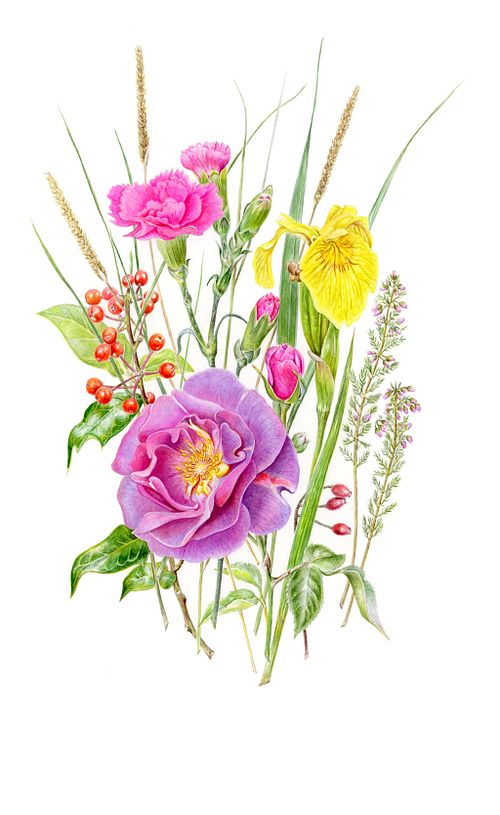 Fine Art Prints