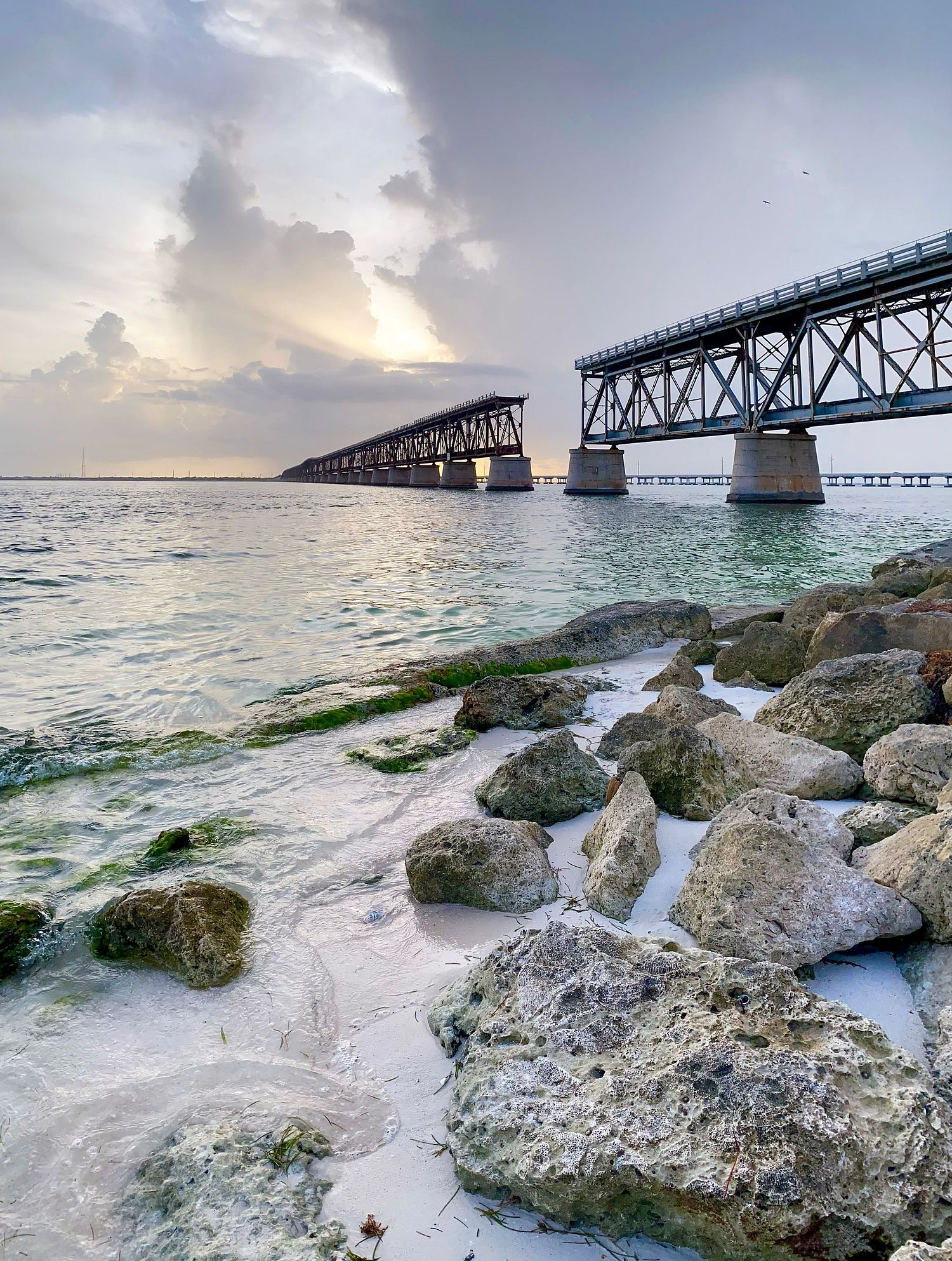 Beyond Measure Gallery