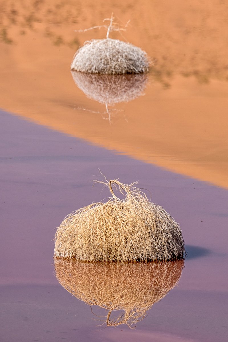 Spiegelwerelden in Badain Jaran
