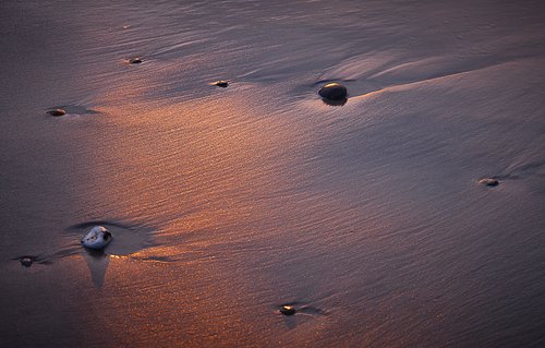 Scouting trip voor Denemarken/Jutland
