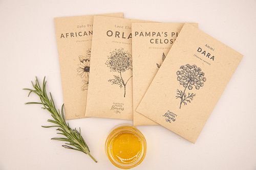 Lifestyle & Branding