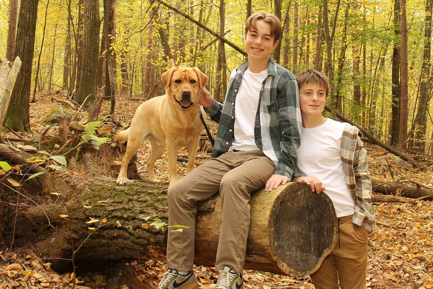 Forest Vibe Photography, Family and Pet Photography
