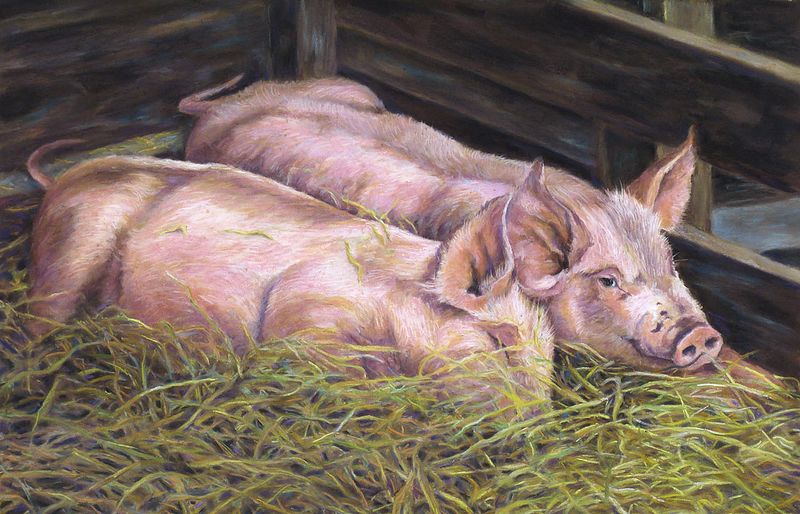 How to become a successful full time fine artist [Interview with Animal Artist Lesley Heathcote]