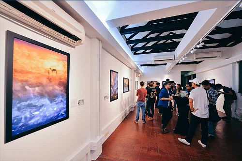 2017 - Nando's Art Initiative