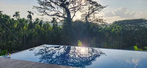 Boutique hotel pool in the Andamans, one of our selected lounging spaces. The Andamans closer to Myanmar (Burma) and Malaysia than the Indian mainland are a global marine paradise. Commercial fishing is almost non existent, for geo-political reasons, and 