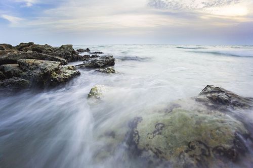 Landscapes and Wildlife