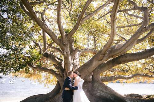 The Serenity of Park & Garden Vows