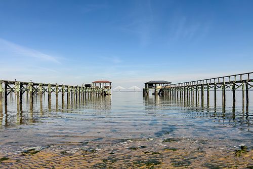 Ravenel Bridge Framed by Docks