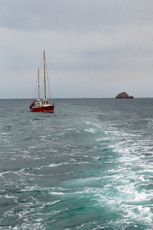 Voilier rouge sur mer claire.