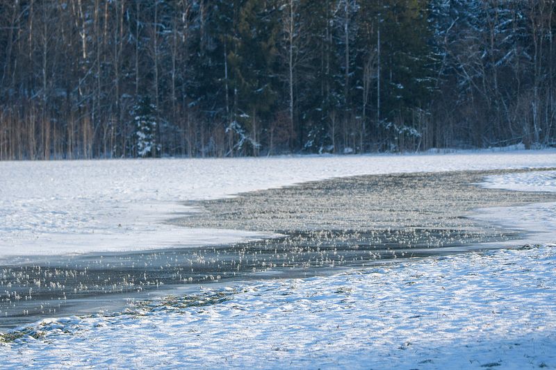 Kevadiselt muutlik märtsi algus.