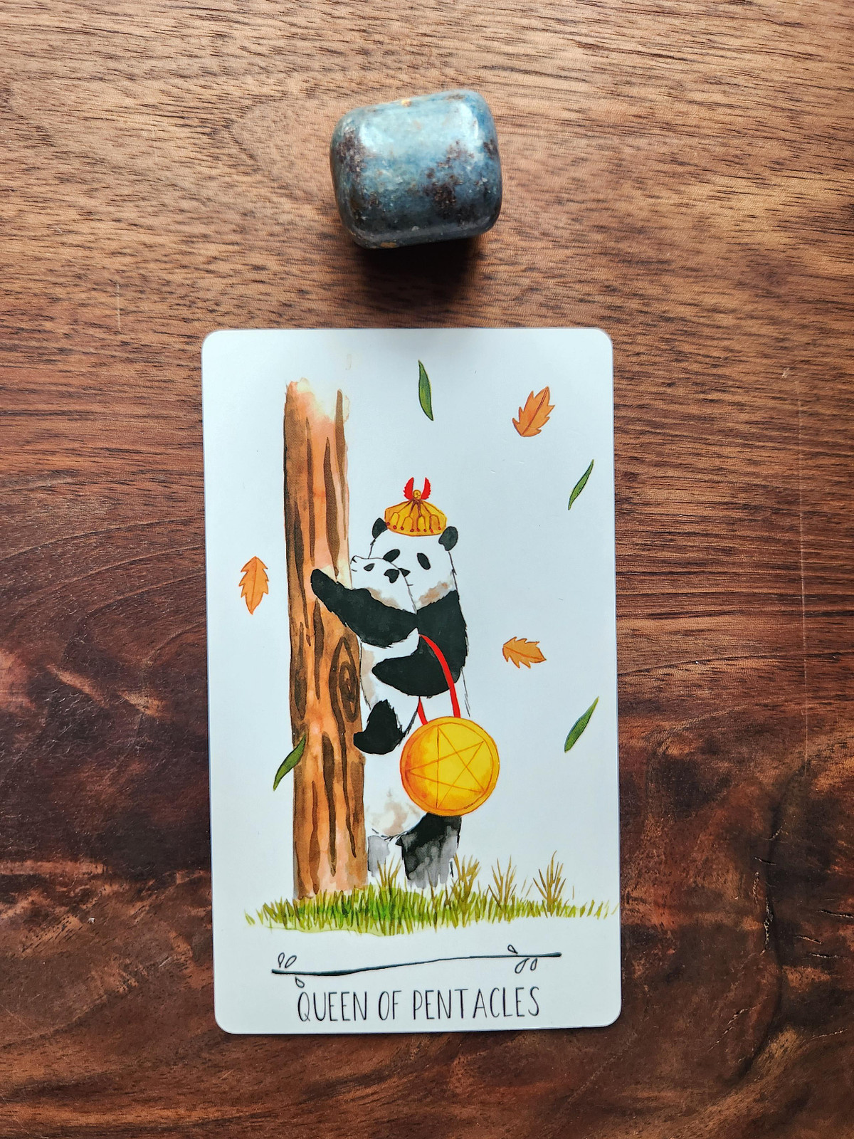 Ruby Kyanite and Queen of Pentacles