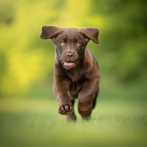 Hoe werkt een fotoshoot?