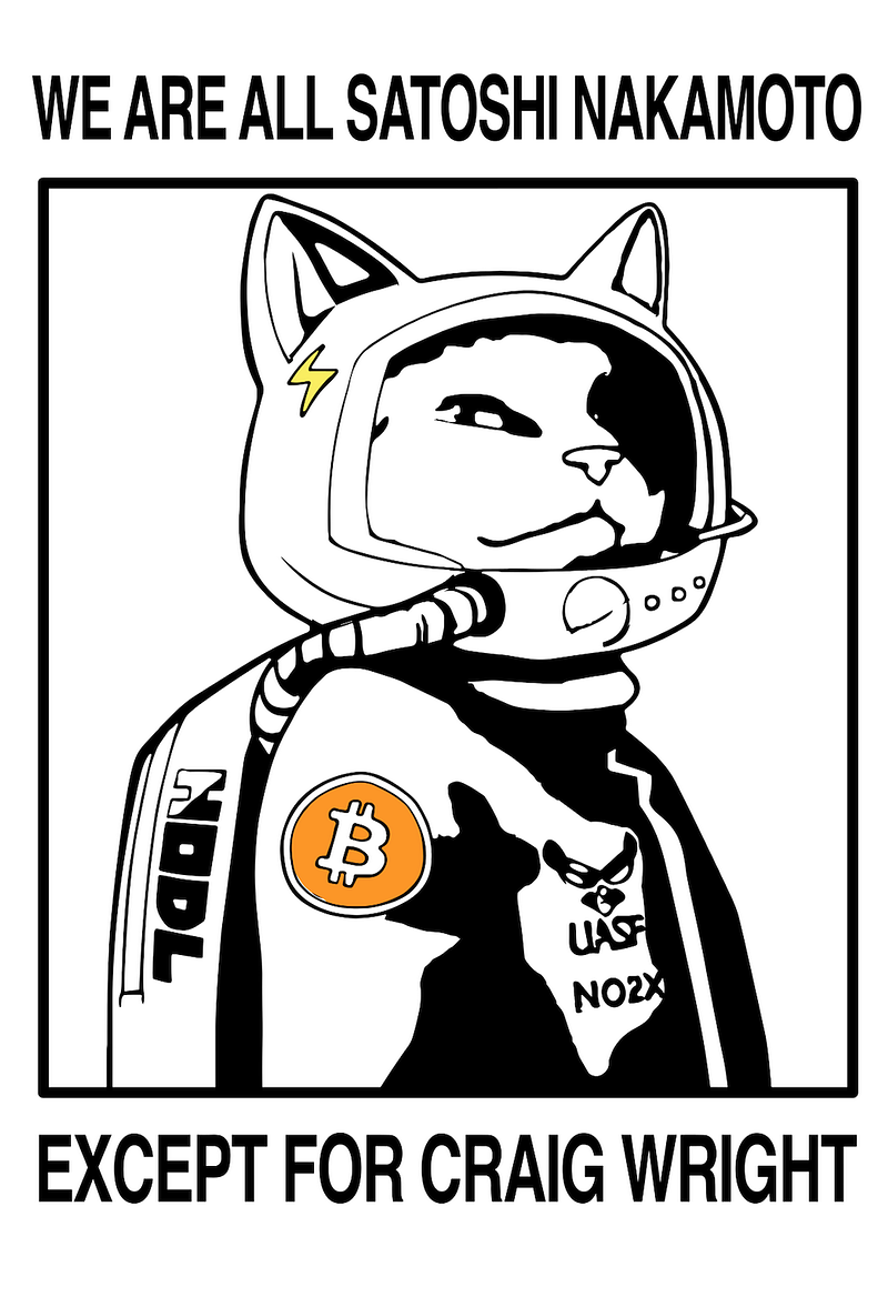 Why Hodlonaut is Satoshi Nakamoto