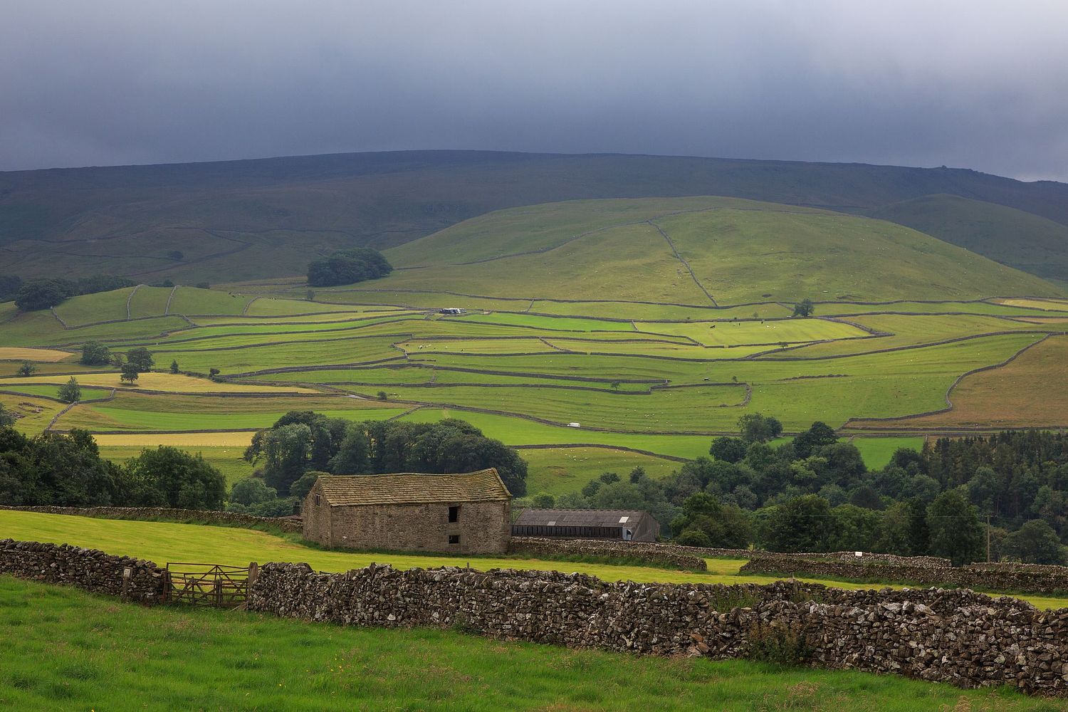 Mike van der Steen Photography