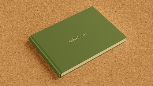 Closed publication front cover featuring the title &lsquo;Safari 2017&rsquo; in a beige decorative font on a plain grass green background.
