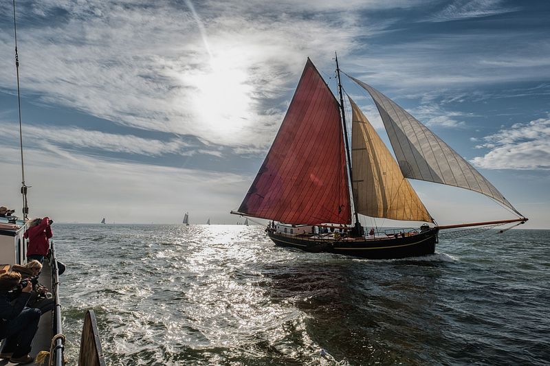 Midweek Oostelijke Waddenzee 5 dagen (4 - 8 mei 2026)