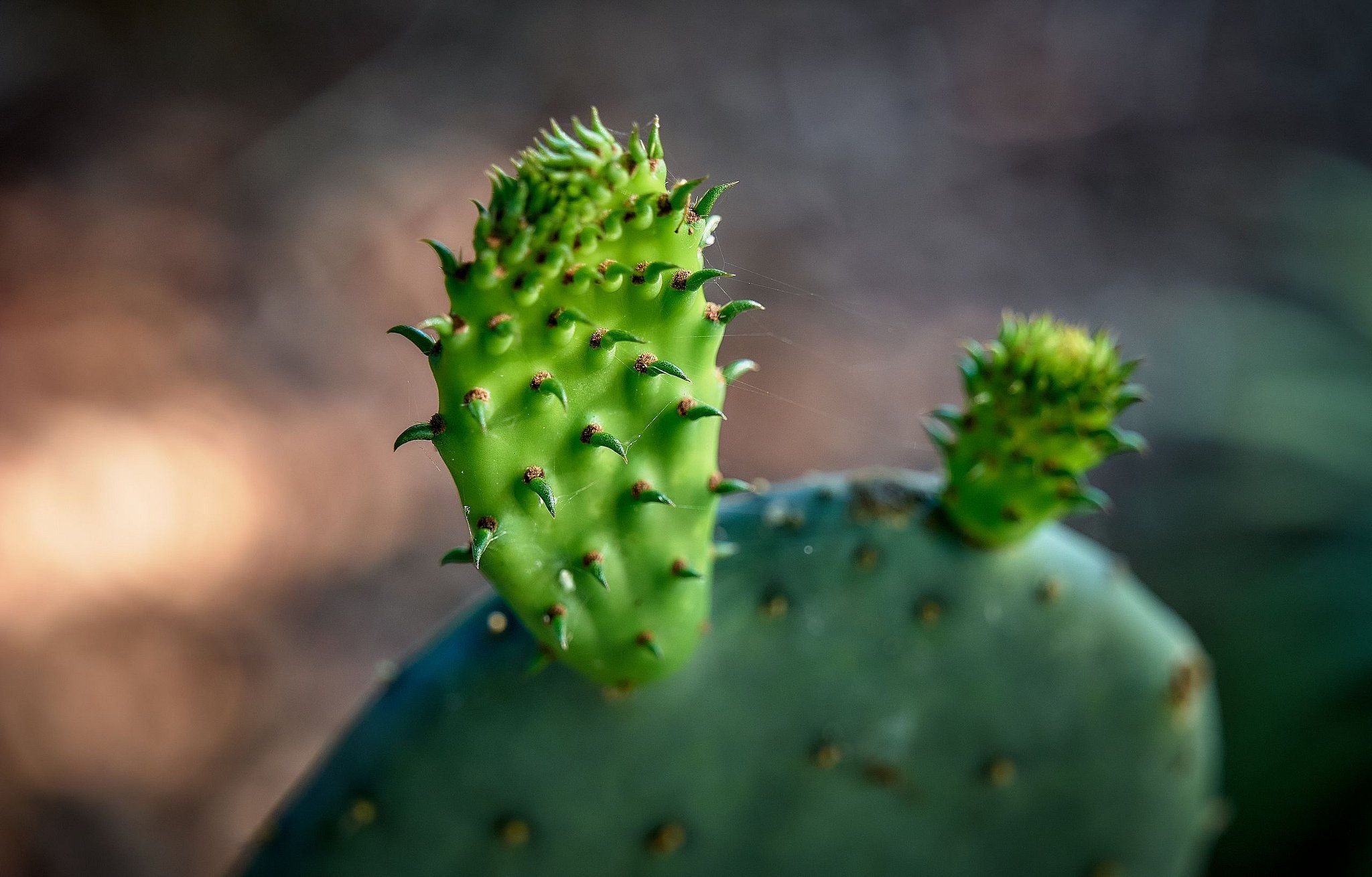 Thomas Upton Photography