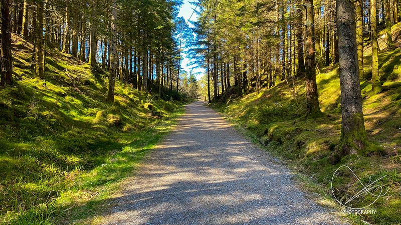 Studioet er stengt 25. april - 26. april