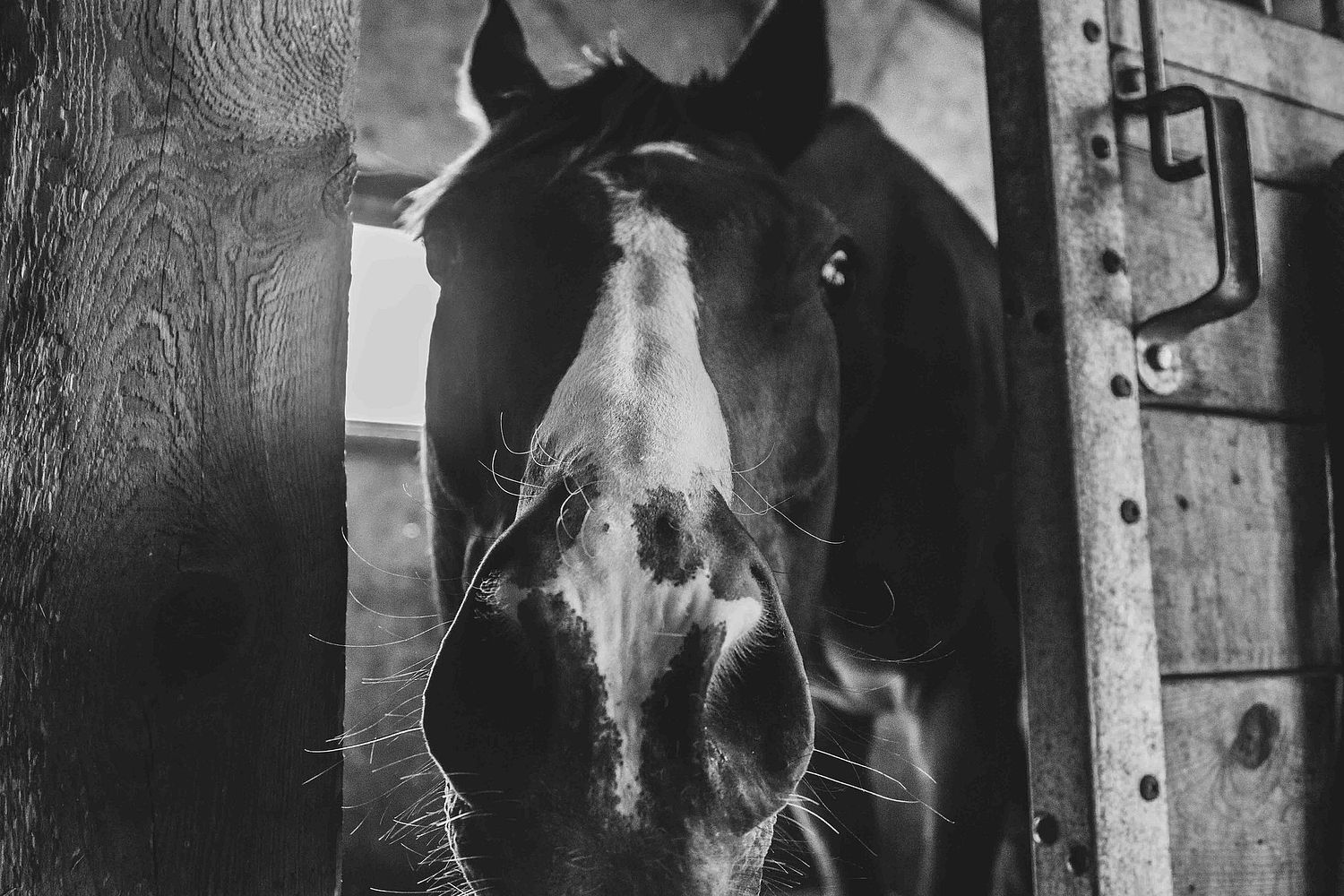 Piper Forsyth Photography