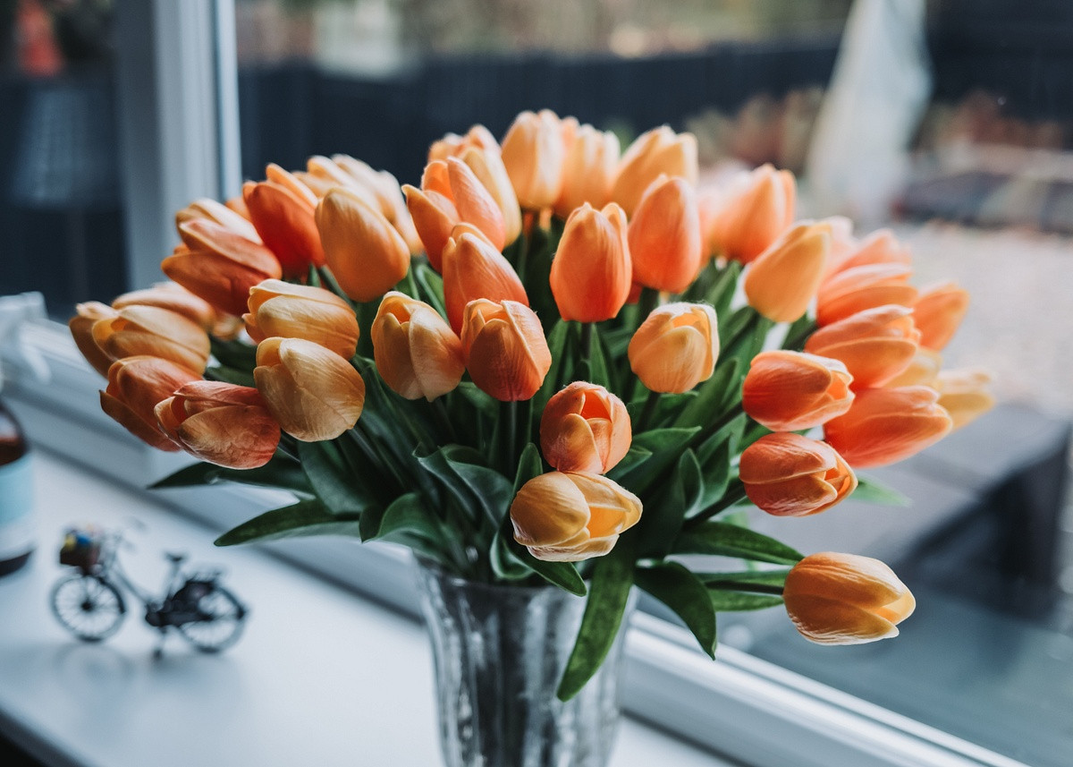 Flowers on kitchen window sill