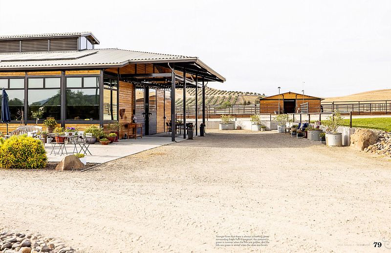 All photography things I love: Horses, people, dogs, barns, interiors