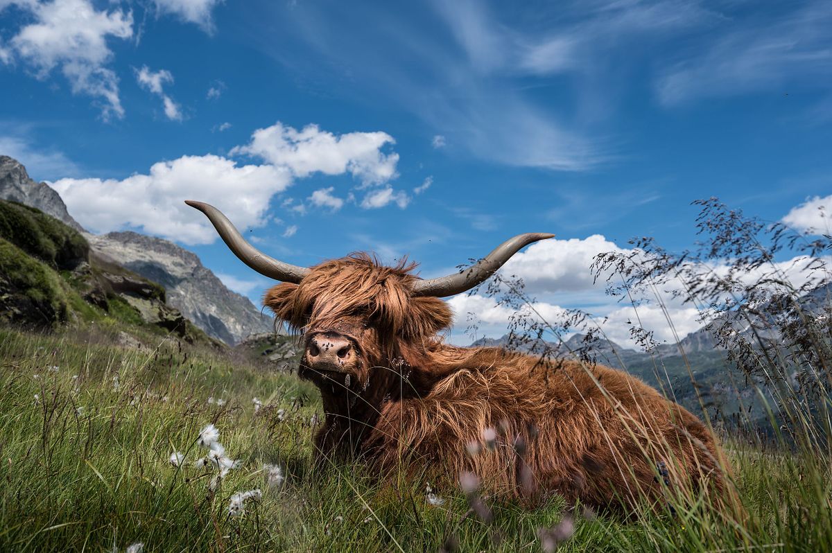 Oberengadiner Landschaft