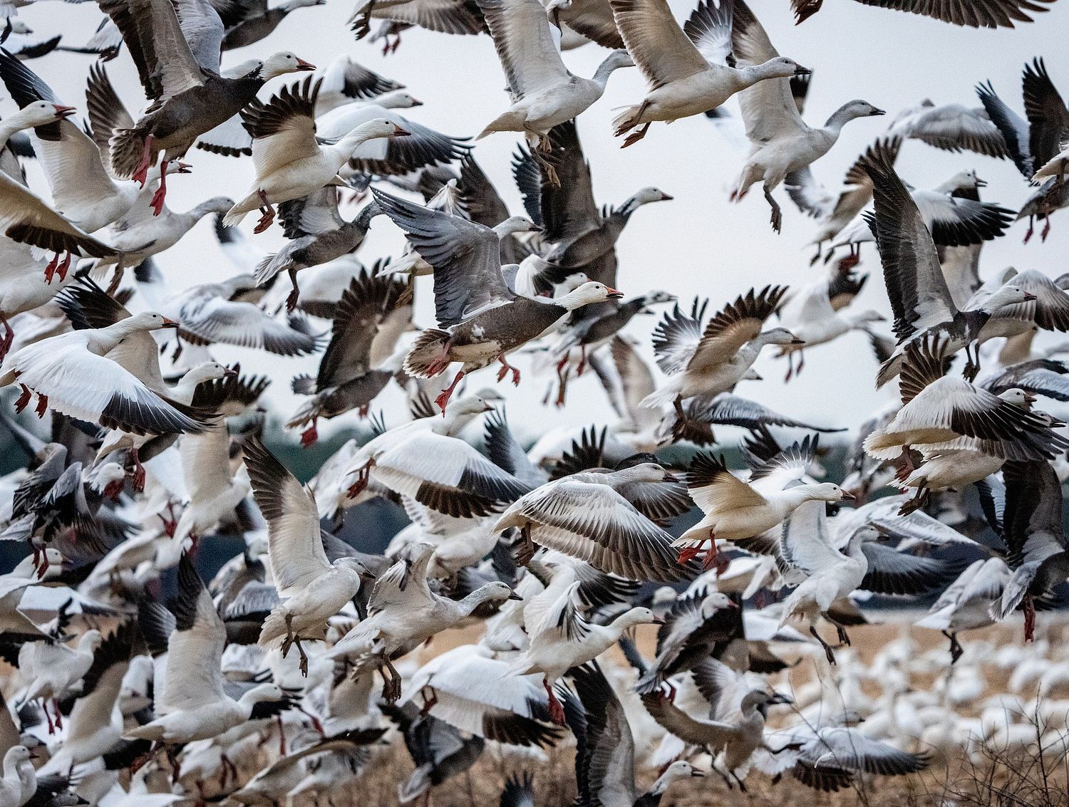 John Mauser Photography