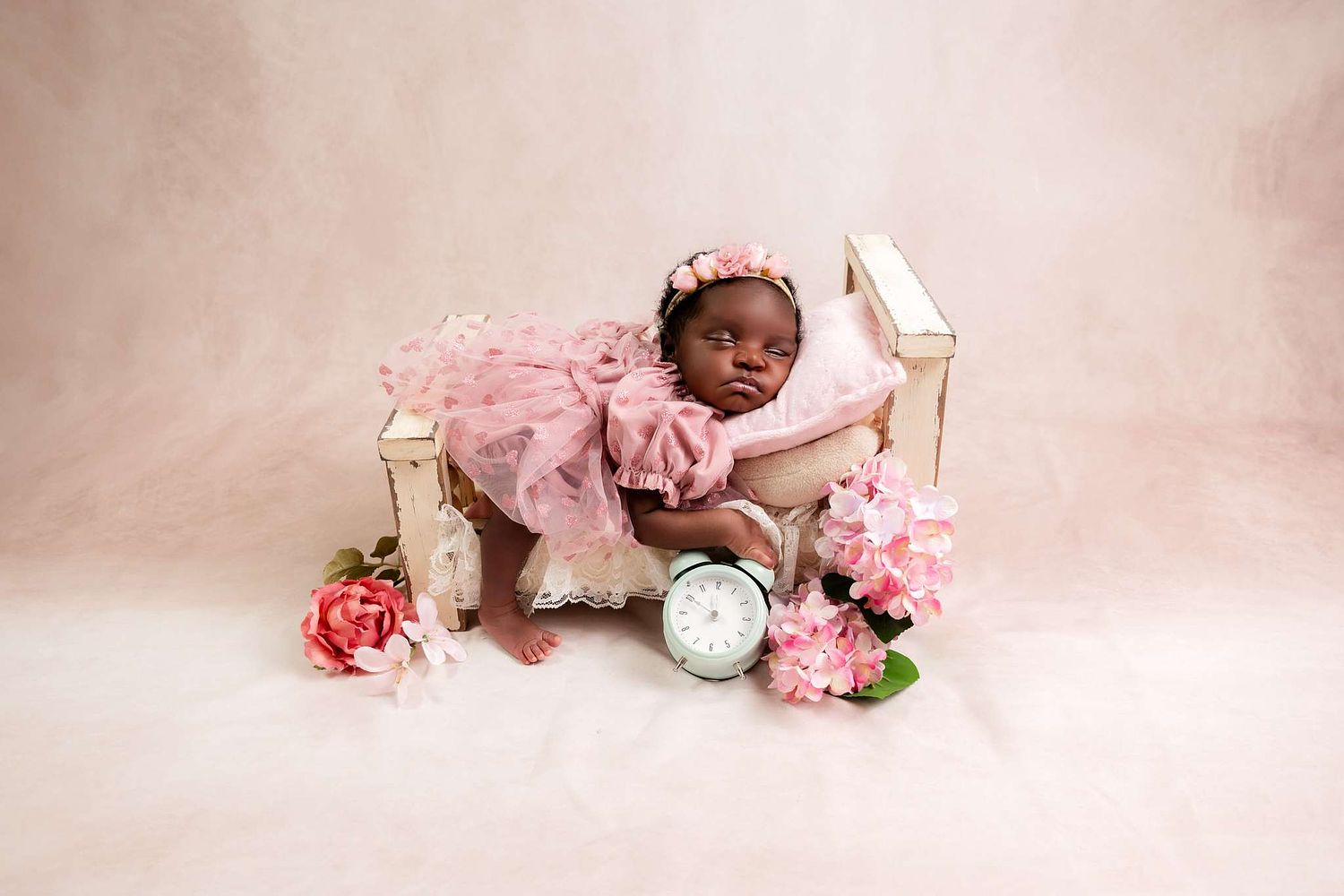 Charlotte Photographer