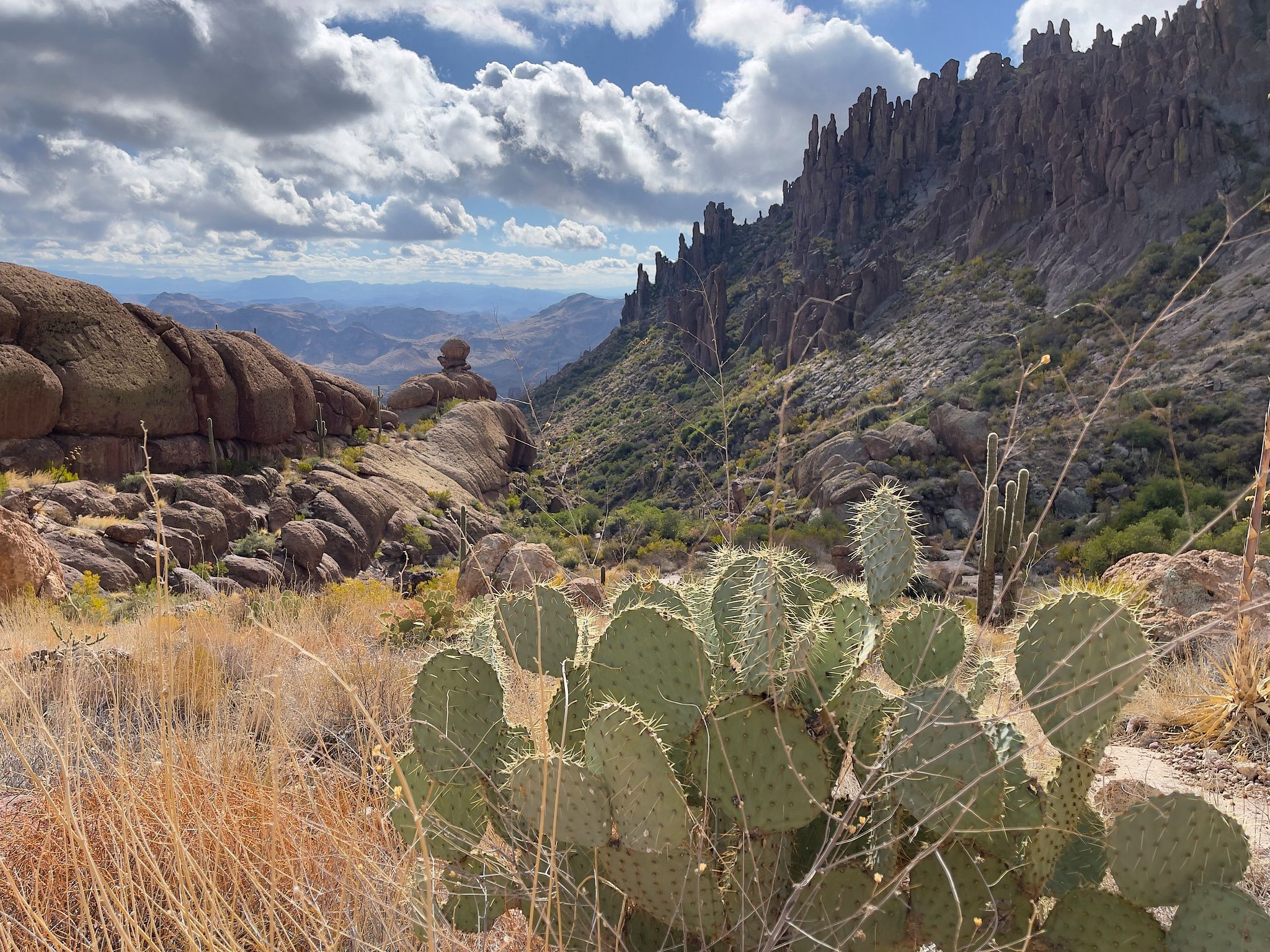 desert mountain view