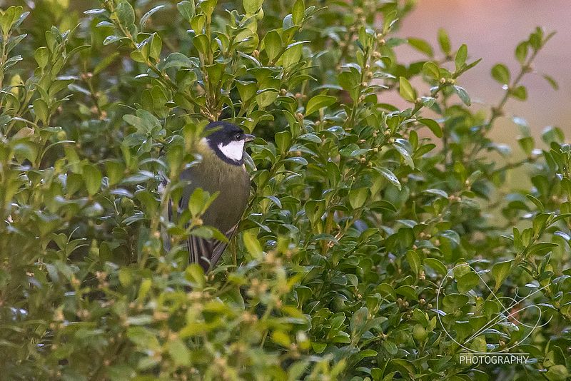 Eg er ute fram til kl 12:15