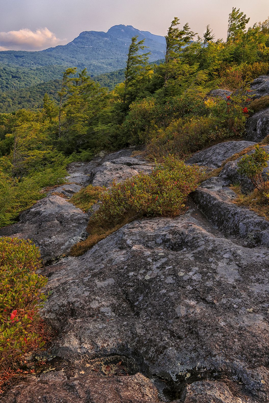 Blue Ridge Parkway by D Rex Miller