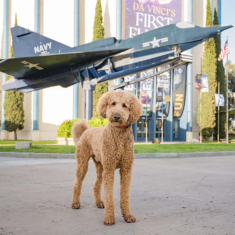 Vote for Murphy A.