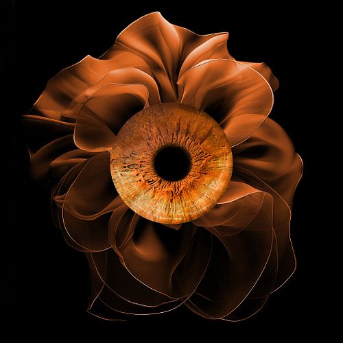 La d&eacute;couverte