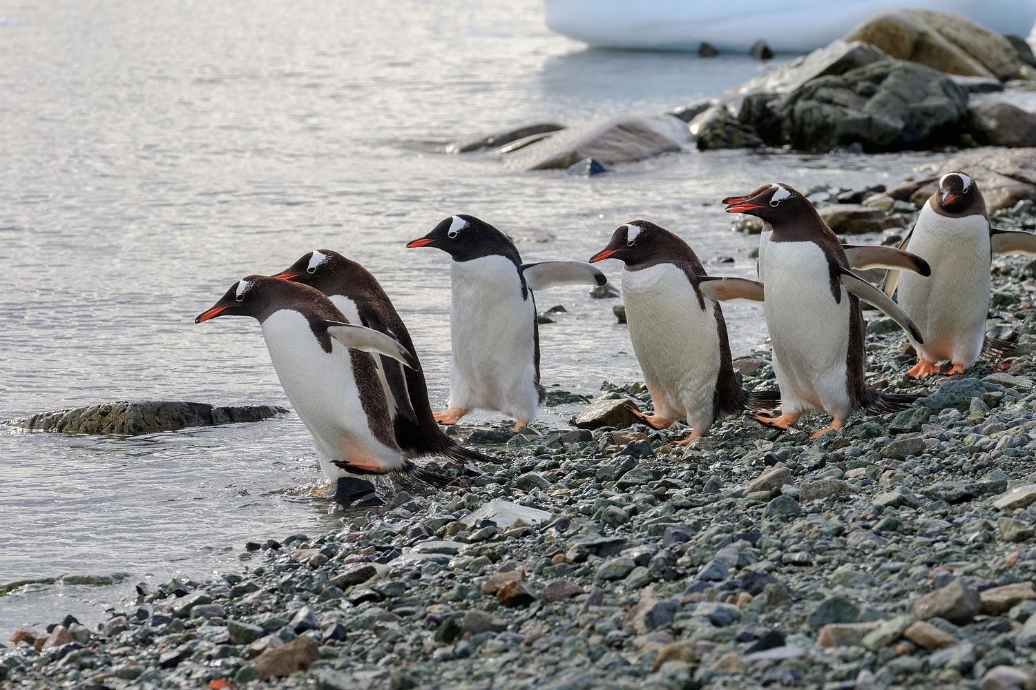 Mike van der Steen Photography