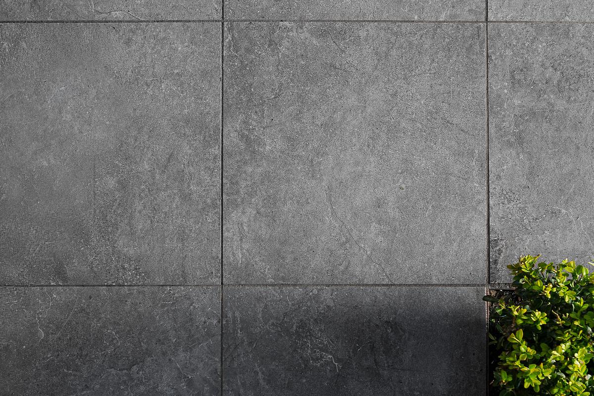 Juian Benson Project (Alt Crop)