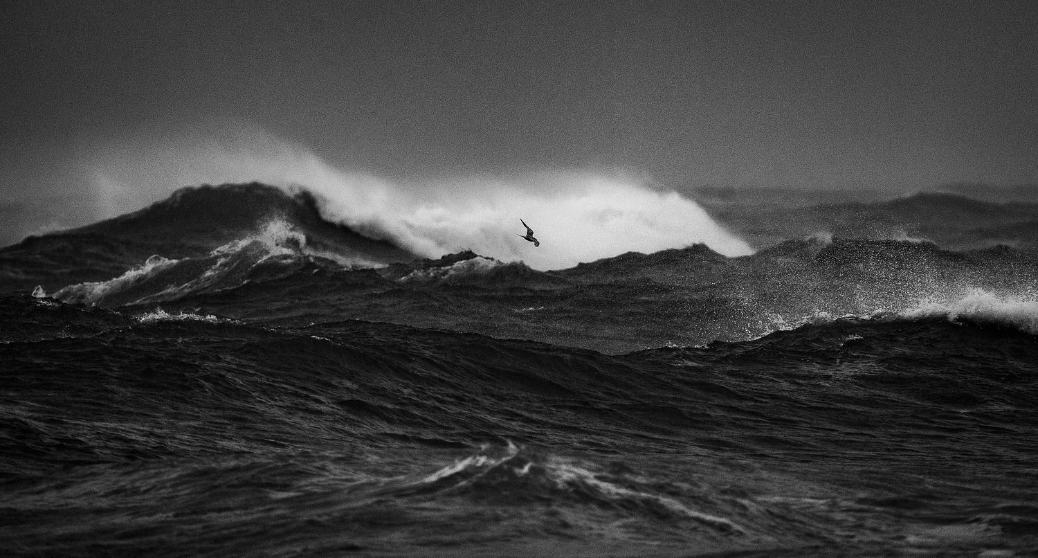 John Mauser Photography